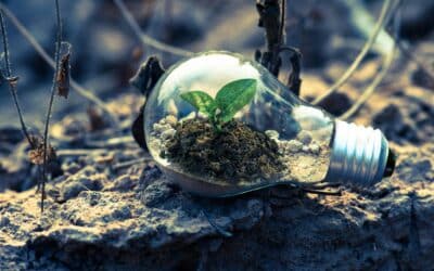 Controlling Business Growth